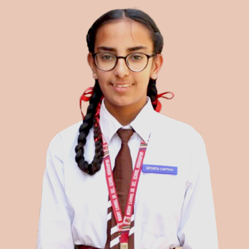 Blue House Captain